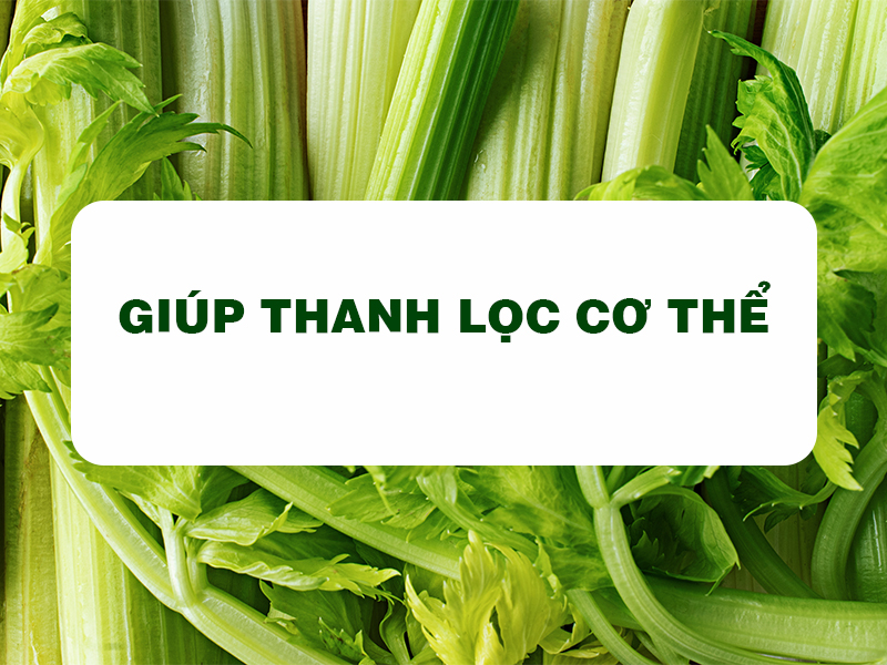 Bột Cần Tây Goce - Lợi ích của việc uống cần tây mỗi ngày 