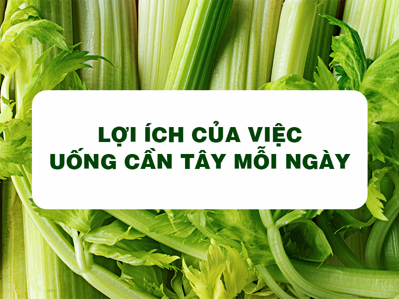 Bột Cần Tây Goce - Thanh lọc cơ thể 