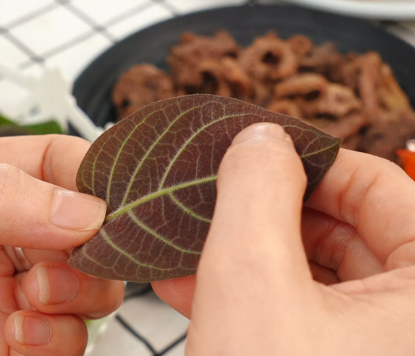 Bột Lá Mơ Goce – Giải Pháp Cho Người Thích Thịt Quay Nhưng “Ngại” Ăn Rau.