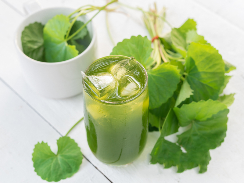 Bột Rau Má Goce - Bột rau má mix thạch nha đam