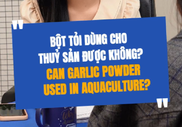 Bột Tỏi Dùng Cho Thủy Sản Được Không?