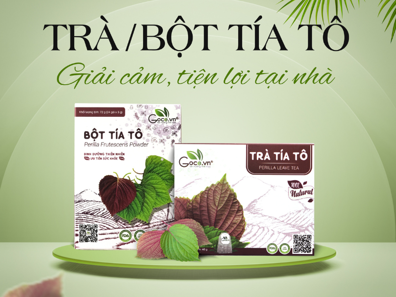 Combo Giải Cảm Giảm Ho Goce - Siêu Ưu Đãi Tháng 8 Cùng Nhà Goce