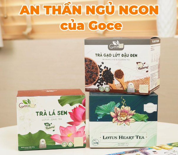 Combo An Thần Ngủ Ngon Goce – Đồng Hành Cùng Giấc Ngủ Chất Lượng