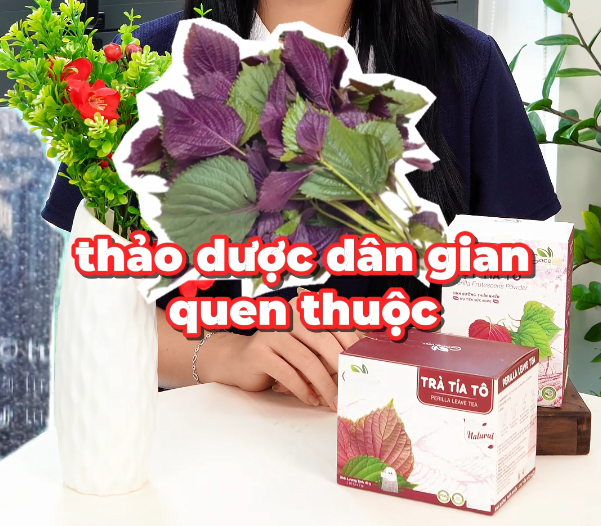 Combo Giải Cảm Giảm Ho - Mùa Mưa Bão Nên Chuẩn Bị Những Gì?