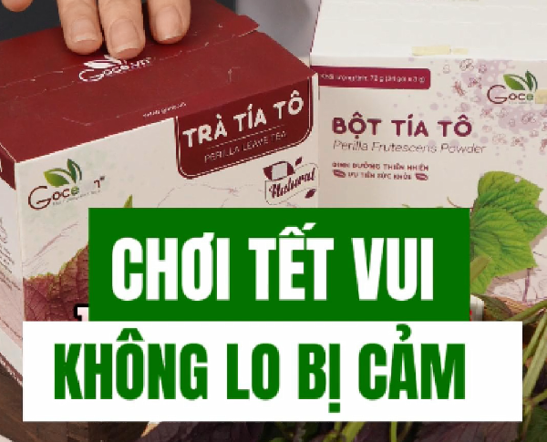 Combo Giải Cảm Mùa Tết – Đón Xuân An Tâm
