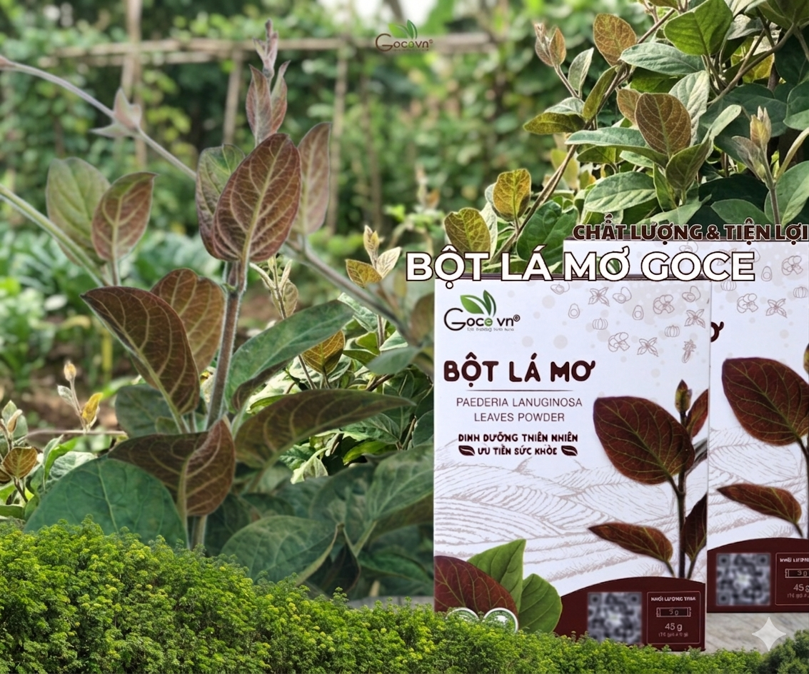 Công Dụng Lá Mơ Lông: Giải Pháp Cho Hệ Tiêu Hóa Kém