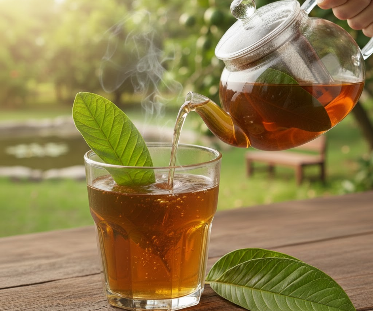 Đừng Uống Trà Lá Ổi Nếu Chưa Biết Những Điều Này