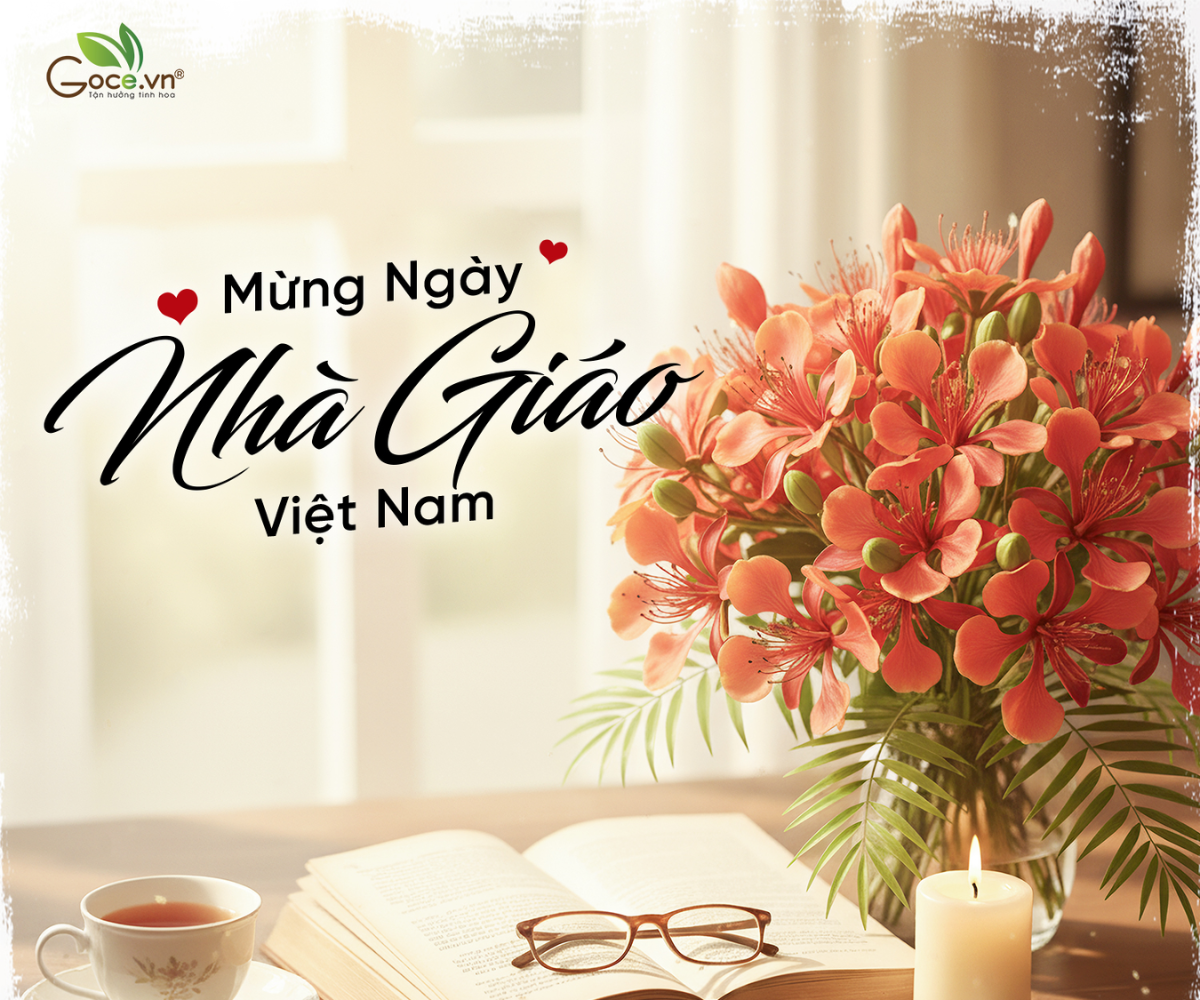 Goce Kính Chúc Mừng Ngày Nhà Giáo Việt Nam 20/11
