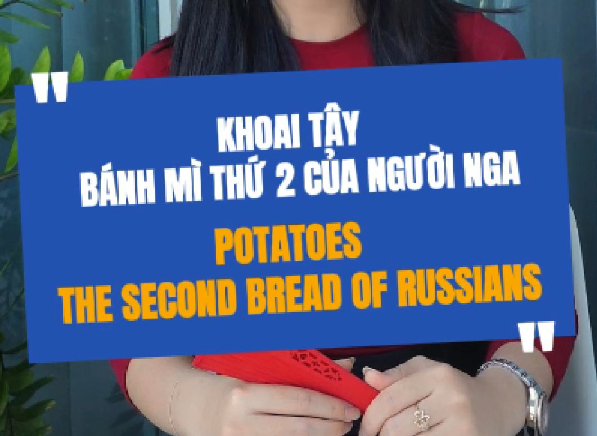 Khoai Tây Bánh Mì Thứ 2 Của Người Nga 