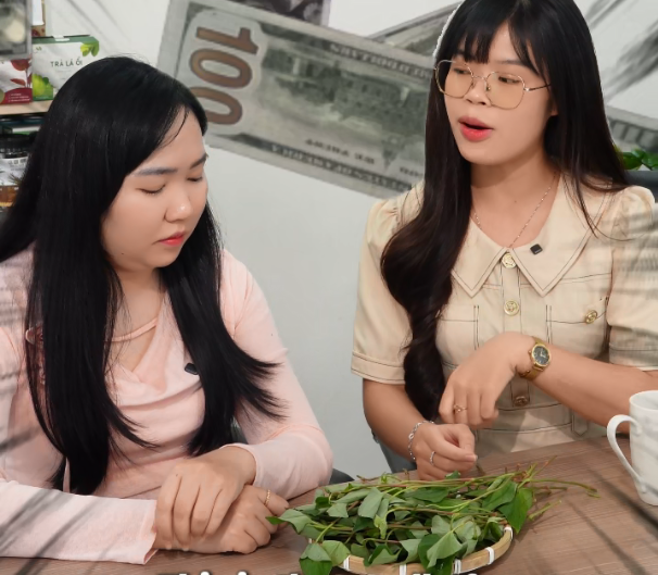  Mùi Diếp Cá Hay Mùi Tiền Đô Xuất Khẩu? 