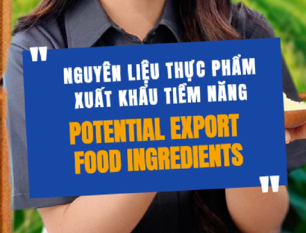 Nguyên Liệu Thực Phẩm Xuất Khẩu Tiềm Năng