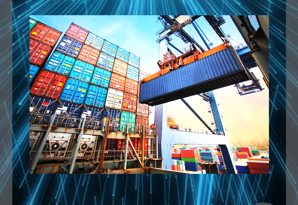 P1 - Hạ Container Nhầm Bãi: Sự Cố Thực Tế Không Ai Muốn Gặp