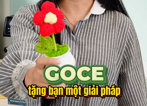 Quà 8/3 Cho Phụ Nữ Hiện Đại: Khỏe – Đẹp – Tiện Lợi