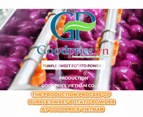 Quy Trình Sản Xuất Bột Khoai Lang Tím Goce