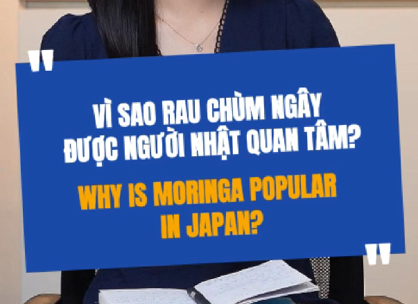 Rau Chùm Ngây Có Gì Đặc Biệt Khiến Người Nhật Quan Tâm?