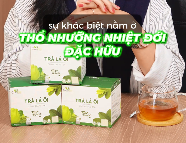 Sự Thật Về Trà Lá Ổi: Không Phải Loại Nào Cũng Giống Nhau