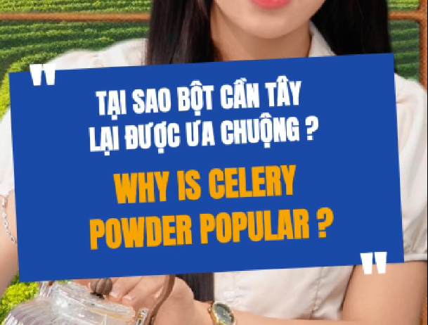 Tại Sao Bột Cần Tây Được Ưa Chuộng?