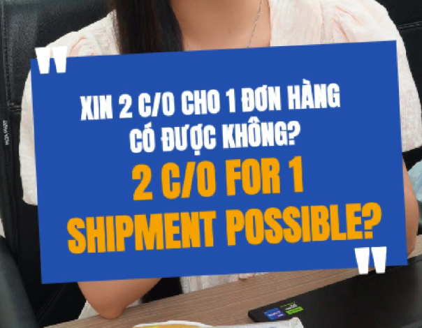 Theo Bạn Một Lô Hàng Xuất Khẩu Có Xin Được Hai C/O Form Không? 