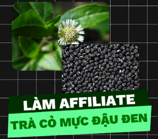 Thu Nhập Tay Trái Nhẹ Nhàng Với Cỏ Mực Đậu Đen Goce