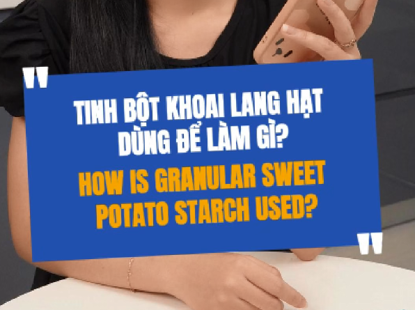 Tinh Bột Khoai Lang Hạt Có Công Dụng Gì Mà Ai Cũng Tìm?