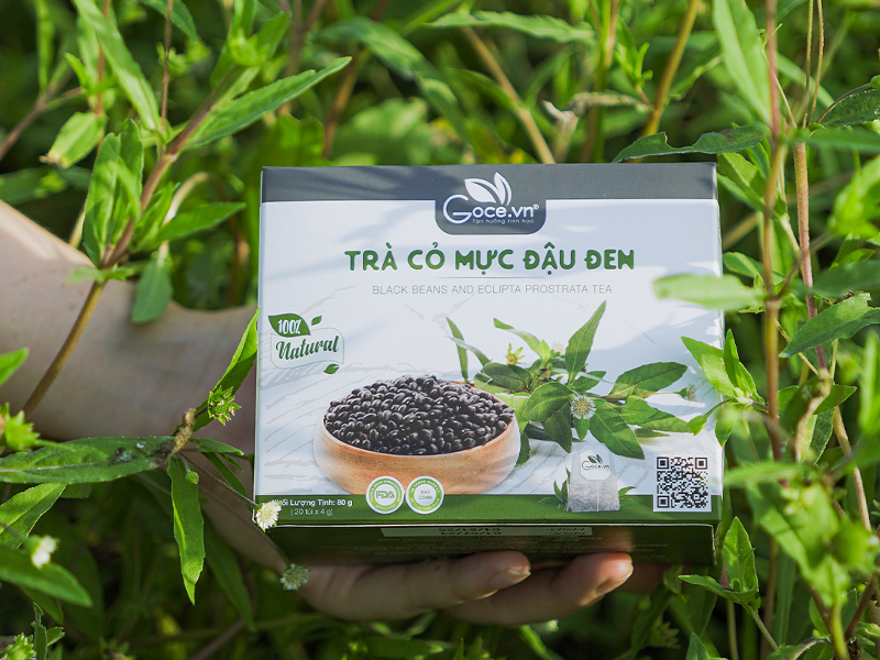 Trà Cỏ Mực Đậu Đen Goce - Top 4 loại trà tốt cho sức khỏe