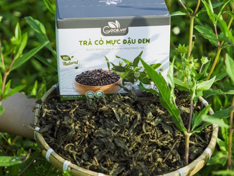Trà Cỏ Mực Đậu Đen Goce - Có Công Dụng Gì?