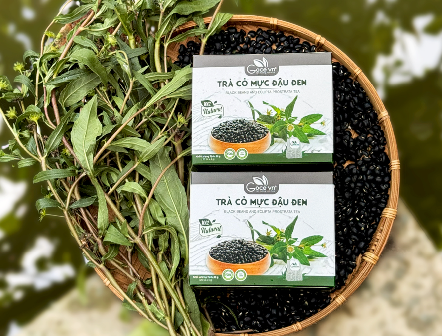 Trà Cỏ Mực Đậu Đen Goce – Tiện Lợi Từ Thiên Nhiên