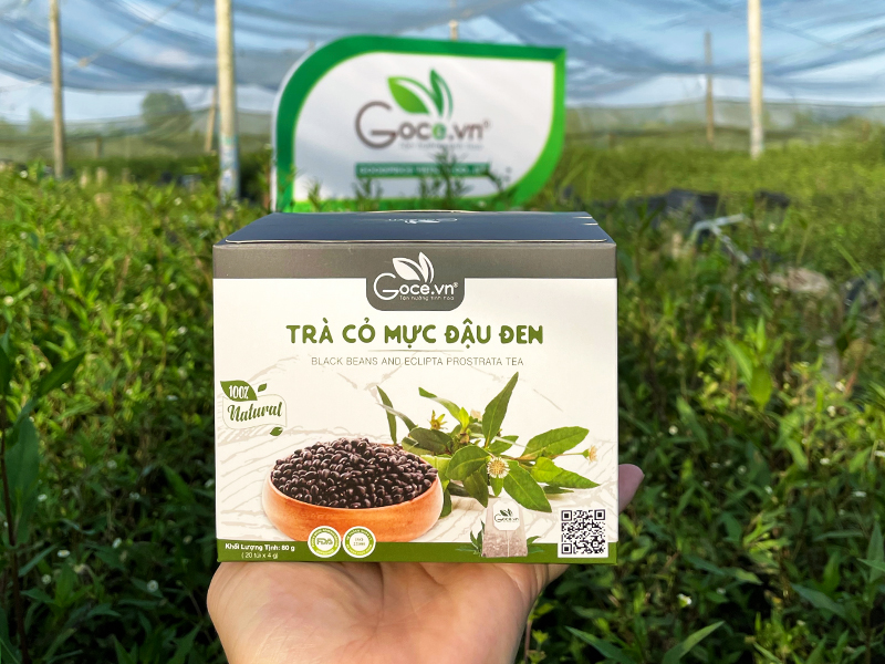Trà Cỏ Mực Đậu Đen Goce - Uống thế nào mới đúng 