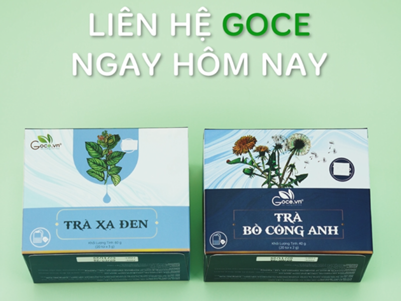 Trà Goce - Món quà từ thiên nhiên