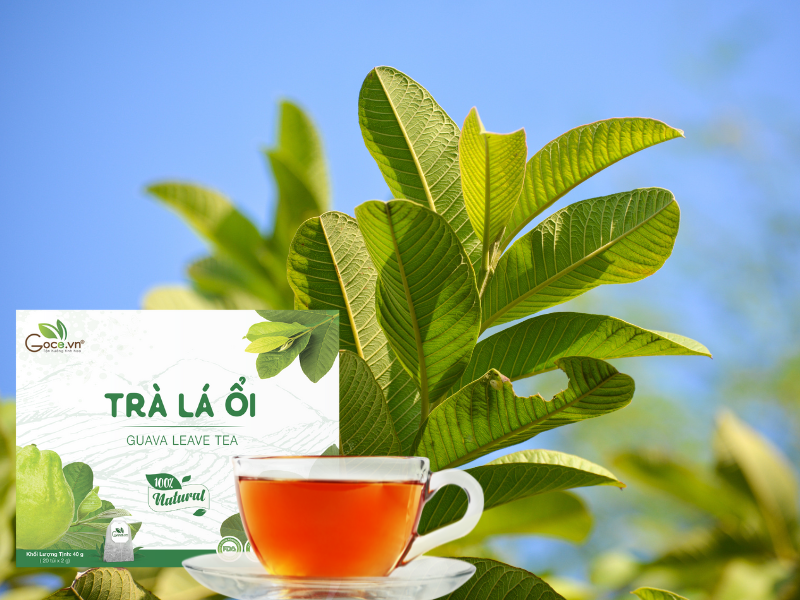 Trà Lá Ổi Goce -  Khởi Đầu Ngày Mới Nhẹ Nhàng Với Một Tách Trà Lá Ổi