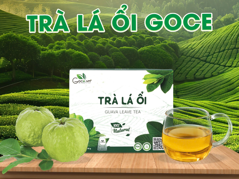 Trà Lá Ổi Goce - Thời điểm lý tưởng để uống Trà Lá Ổi giúp quên đi nỗi lo chọn size quần áo