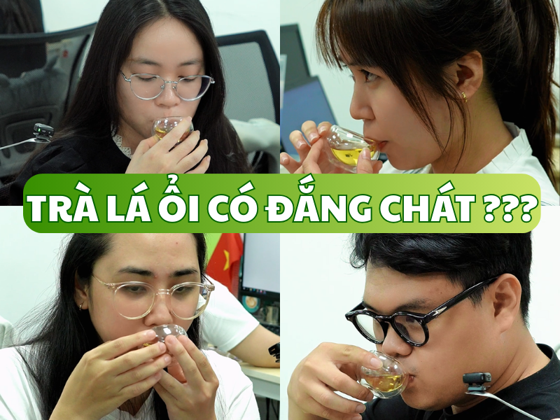 Trà Lá Ổi Goce - Trà Lá Ổi Có Đắng Chát Không ? 