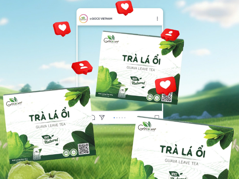 Trà Lá Ổi Goce - Trà Lá Ổi sẽ phù hợp cho những ai ?