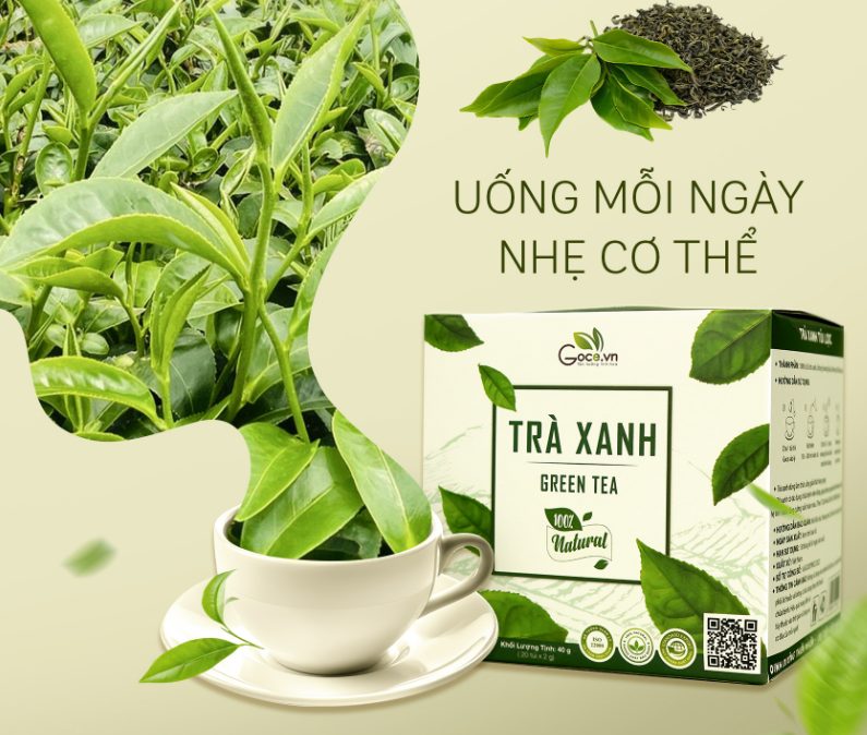 Trà Xanh – Uống Là Nhẹ Người, Khỏe Từ Bên Trong