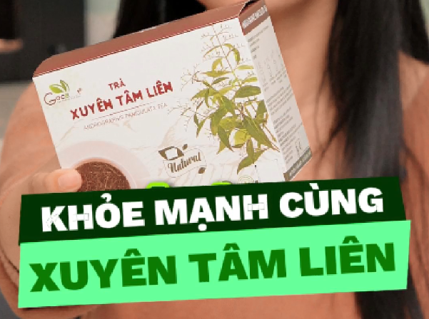 Trà Xuyên Tâm Liên Túi Lọc – Tiện Lợi, Tốt Cho Sức Khỏe