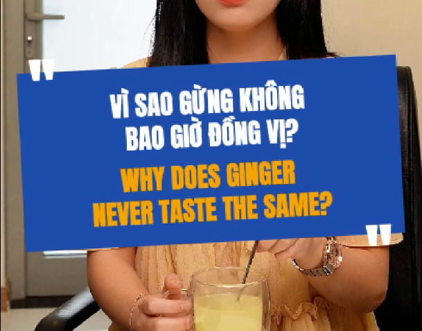 VÌ Sao Bột Gừng Không Bao Giờ Đồng Vị?