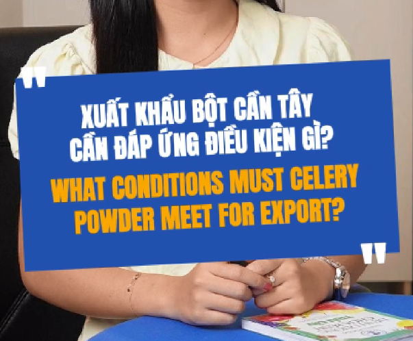 Xuất Khẩu Bột Cần Tây Cần Đáp Ứng Nhất Điều Kiện Gì?