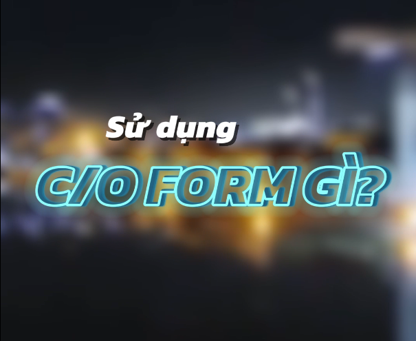 Xuất Khẩu Trong ASEAN Dùng C/O Form Nào Để Được Hưởng Ưu Đãi Thế Quan?