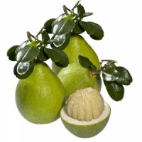 Bưởi năm roi Miền Tây