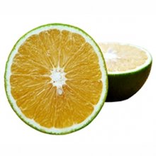 Cam xoàn Miền Tây