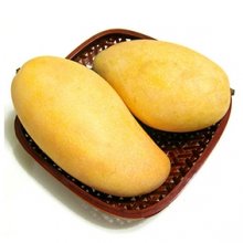 Xoài cát Hòa Lộc