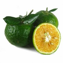 Cam sành Miền Tây