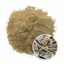 Bột Kim Tiền Thảo 