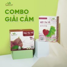COMBO GIẢI CẢM – GIẢM HO GOCE