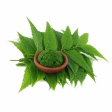 BỘT LÁ NEEM ẤN ĐỘ 