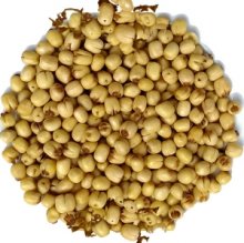 HẠT SEN SẤY GIÒN XUẤT KHẨU