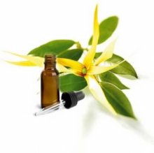 Tinh dầu ngọc lan tây 