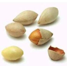 Bạch quả khô Nhật Bản