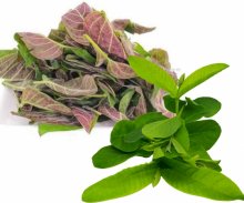 Lá Mơ Và Lá Ổi Goce