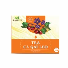 Trà cà gai leo